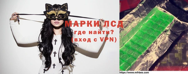 крисы Корсаков