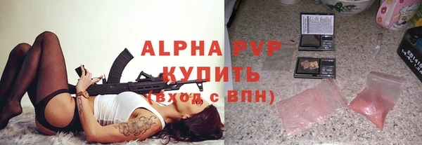 крисы Корсаков