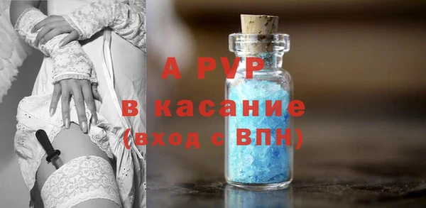 ПСИЛОЦИБИНОВЫЕ ГРИБЫ Коряжма