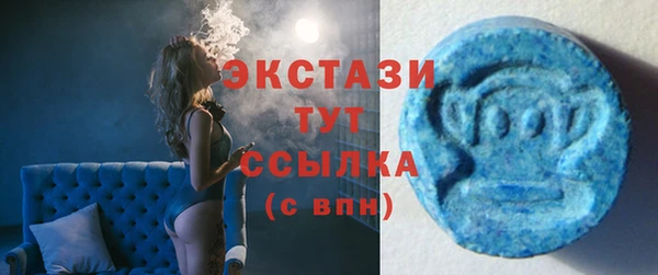 крисы Корсаков