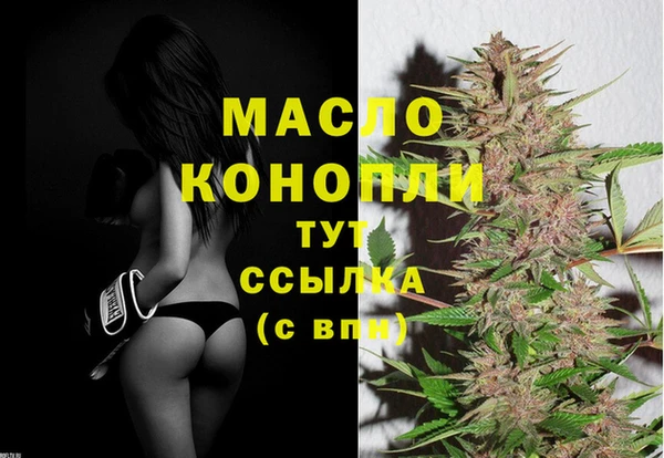 крисы Корсаков