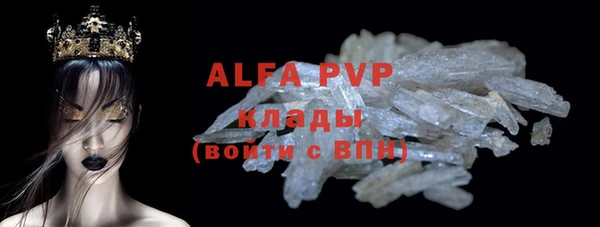 крисы Корсаков