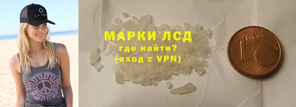 крисы Корсаков