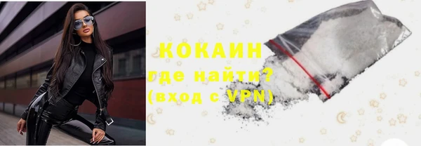 крисы Корсаков