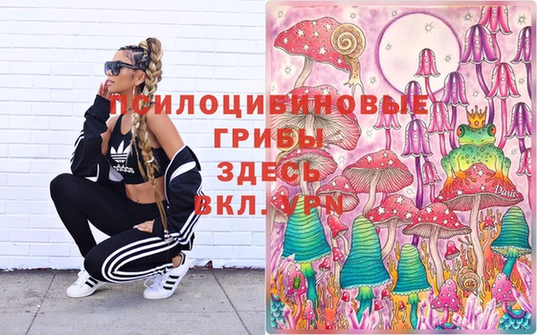 ПСИЛОЦИБИНОВЫЕ ГРИБЫ Коряжма
