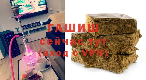 крисы Корсаков