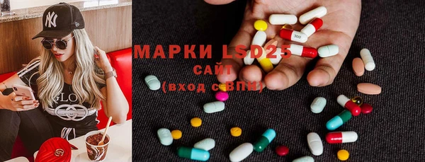 ПСИЛОЦИБИНОВЫЕ ГРИБЫ Коряжма