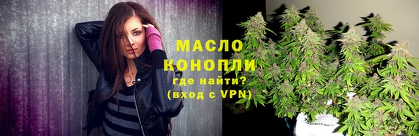 крисы Корсаков