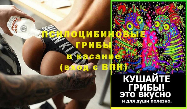 крисы Корсаков