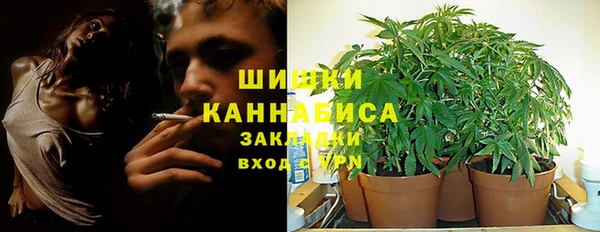крисы Корсаков