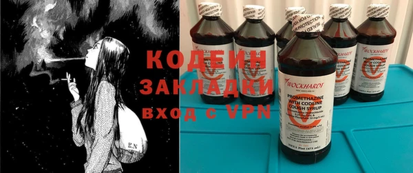 крисы Корсаков