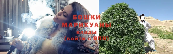 ПСИЛОЦИБИНОВЫЕ ГРИБЫ Коряжма