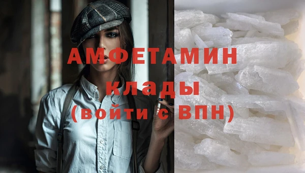 ПСИЛОЦИБИНОВЫЕ ГРИБЫ Коряжма