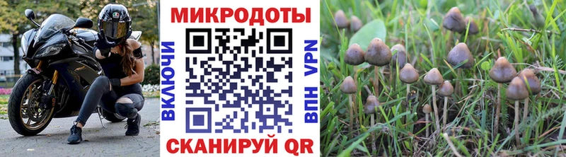 Псилоцибиновые грибы мухоморы  Купить закладки  Нахабино 